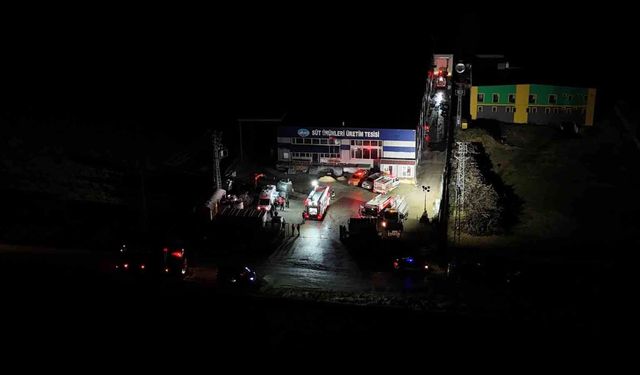 Kırklareli'nde süt ürünleri tesisinin deposunda yangın