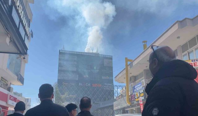 Mersin'de baca yangını korkuttu