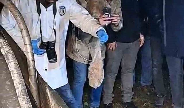 Mezarlığa gömülen esrarengiz paket mahalleliyi ayağa kaldırdı