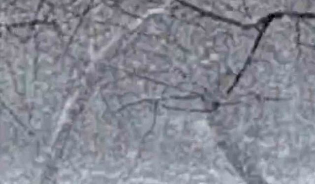 Mudurnu'da lapa lapa kar yağışı etkili oldu