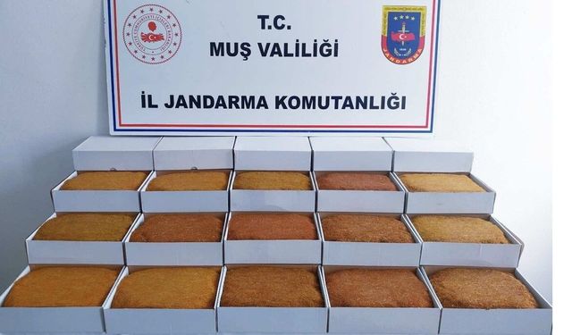 Muş'ta 45 kilo kaçak tütün ele geçirildi