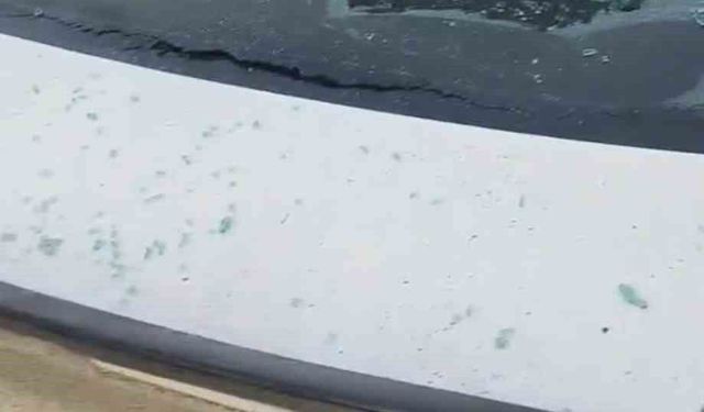 Önce alkol aldılar sonra bindikleri otomobili kurşun yağmuruna tuttular