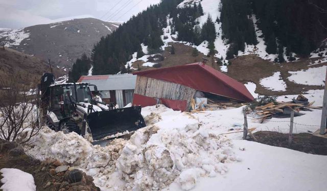Ordu'da çığ düşmesi sonucu ahşap ev zarar gördü