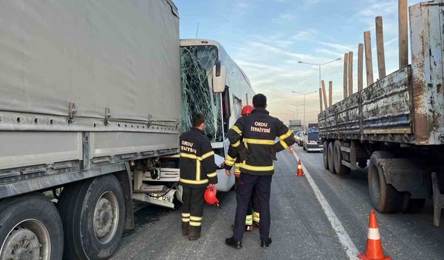 Ordu'da yolcu otobüsü ile tır çarpıştı: 4 yaralı