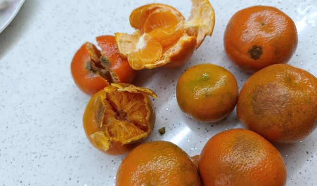 Pazardan aldığı 2 kilo mandalinanın yarısı çürük çıktı