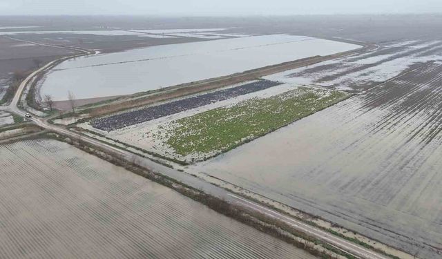 Sağanak yağmurdan sonra binlerce dönüm tarım arazisi sular altında kaldı