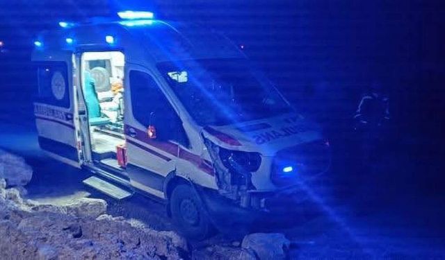 Siirt'te hasta taşıyan ambulans ata çarptı
