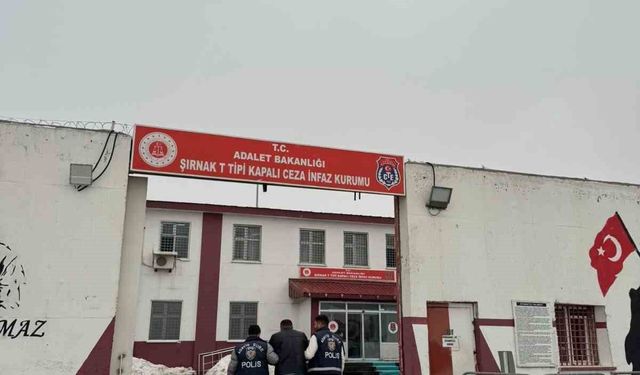 Şırnak'ta 13 yıl 4 ay hapis cezası bulunan şahıs yakalandı
