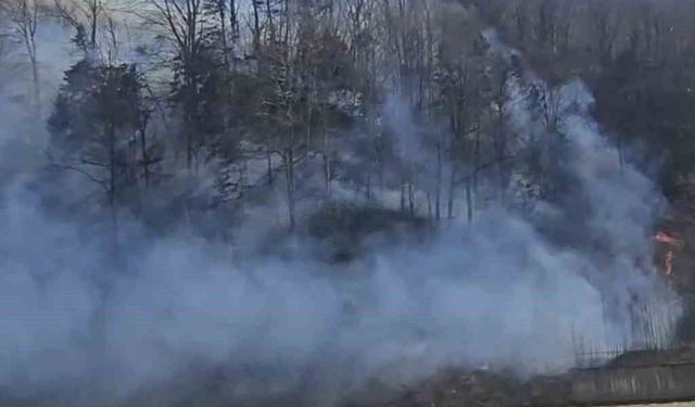 Trabzon'da örtü yangınları