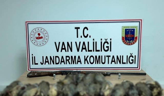Van'da keklik avına 87 bin TL idari para cezası
