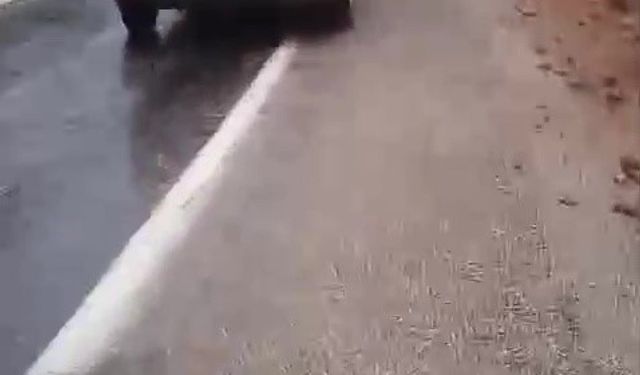 Yine aynı yer: 4 öğretmene mezar olan Tırtat mevkiinde kayalar düşmeye devam ediyor