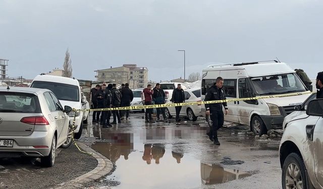 Yüksekova'da silahla başından vurulmuş halde bulunan genç kurtarılamadı