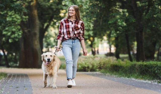 "Köpek gezdirirken sakata gelmeyin"