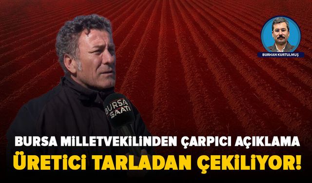 Sarıbal: Üretici tarladan çekiliyor, ithalat yükseliyor