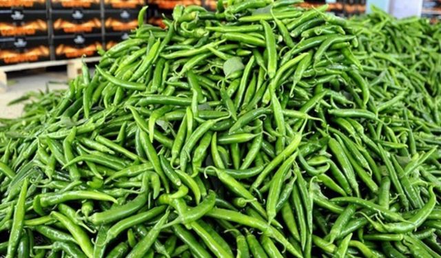 Biberin fiyatı 550 lira oldu