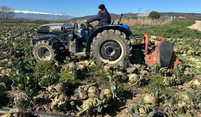 Bursa'da ne çiftçi kazandı ne de tüketici ucuza yedi