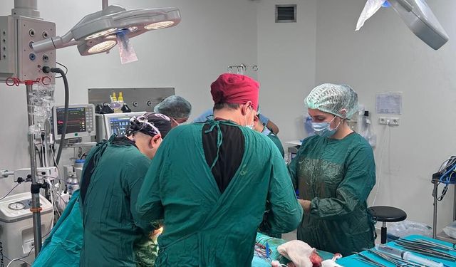 Bursa organ bağışında Türkiye'nin 'umut başkenti' oldu