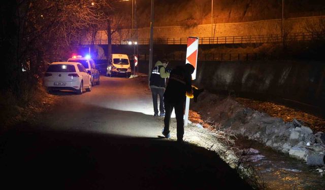 Alzheimer hastası yaşlı adam Harşit Çayı'nda ölü bulundu