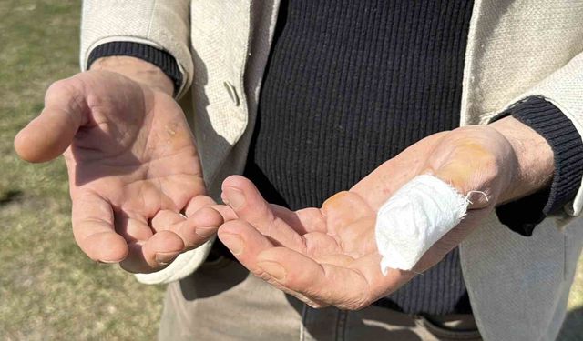 Başıboş pitbull, vatandaş ile köpeğine dehşeti yaşattı