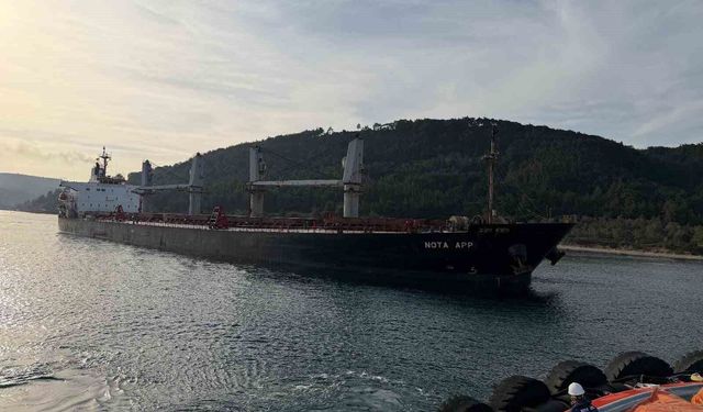 Çanakkale Boğazı'nda karaya oturan gemi için kurtarma çalışması başladı, boğaz trafiğe kapandı