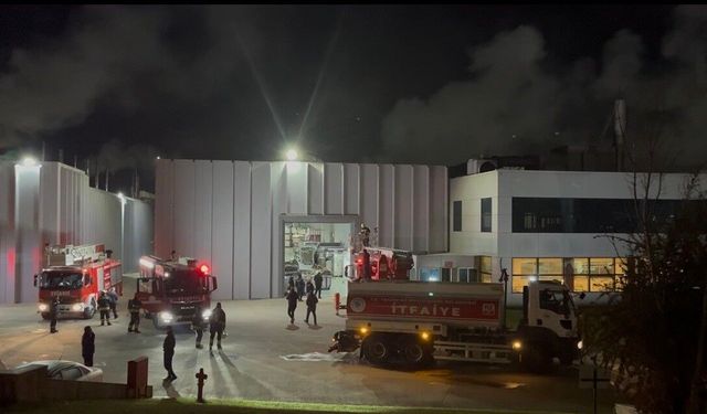 Çerkezköy OSB'de fabrika yangını kontrol altına alındı