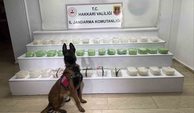 Hakkari'de 43 kilo metamfetamin ele geçirildi