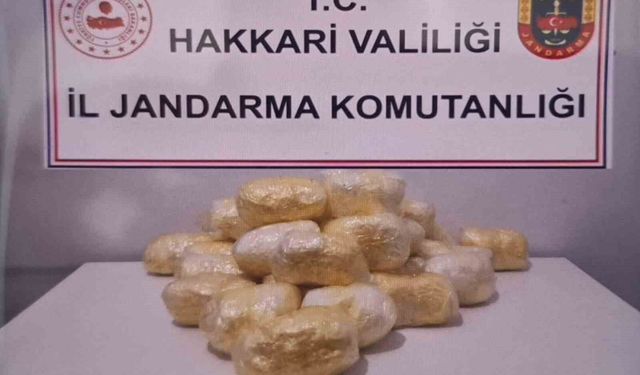 Hakkari'de tırda 15 kilo 263 gram metamfetamin ele geçirildi