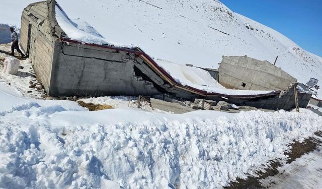 Iğdır'da ahır çöktü: Hayvanların önceden çıkarılması facianın önüne geçti