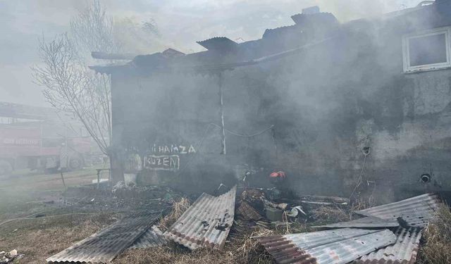 Iğdır'da çıkan yangında ev küle döndü