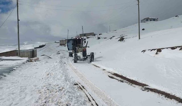 İl Özel İdaresi'nden yoğun kar mesaisi: Kapalı köy yolu kalmadı