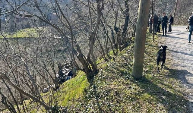 Kastamonu'da 'patpat' şarampole yuvarlandı: 2 yaralı