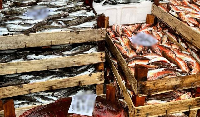 Kırklareli'nde su ürünleri nakil araçlarına sıkı denetim