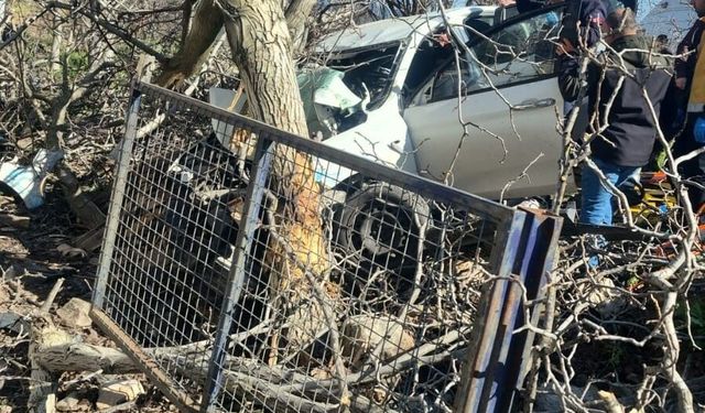 Kontrolden çıkan otomobil ağaçlara ok gibi saplandı: 2 ölü, 1 ağır yaralı