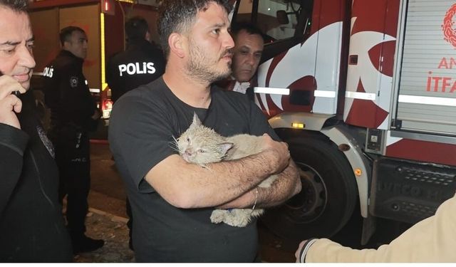 Korkutan yangında mahsur kalan kediyi itfaiye kurtardı