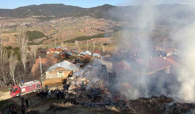 Köyde korkutan yangın: Evler ve ahırlar küle döndü