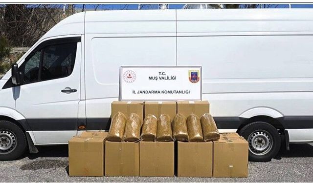 Muş'ta 260 kilogram bandrolsüz tütün ele geçirildi