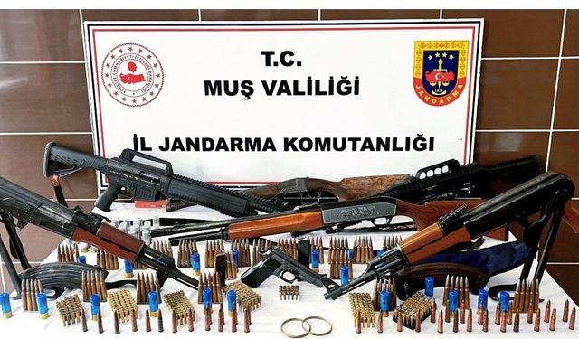 Muş'ta jandarmadan silah ve tarihi eser operasyonu