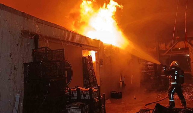 Muz paketleme tesisinde çıkan yangın korku dolu anlar yaşattı