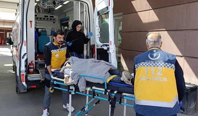 Otomobil reklam direğine çarptı:3 yaralı