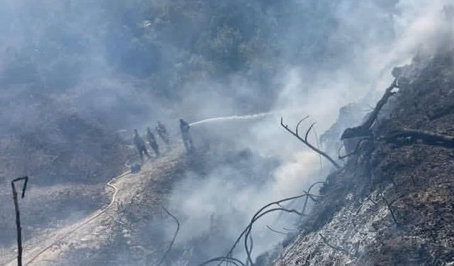 Samandağ'da bahçede çıkan yangın büyümeden söndürüldü