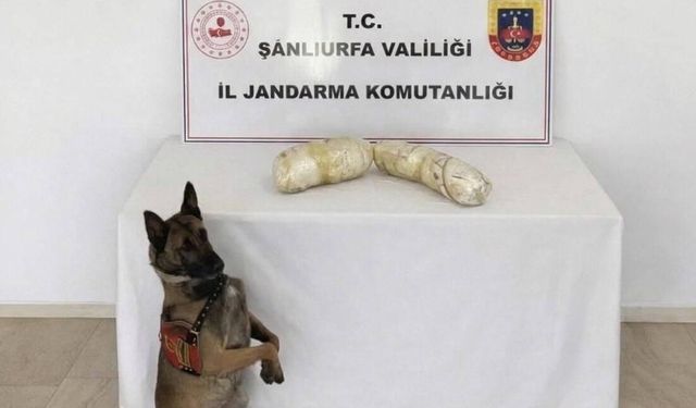 Şanlıurfa'da 2 kilogram uyuşturucu ele geçirildi: 2 gözaltı