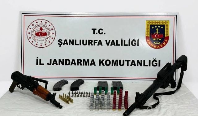 Şanlıurfa'da ruhsatsız silah operasyonu: 1 gözaltı