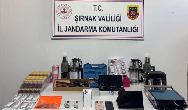 Şırnak'ta son bir haftada jandarma operasyonlarında 15 tutuklama