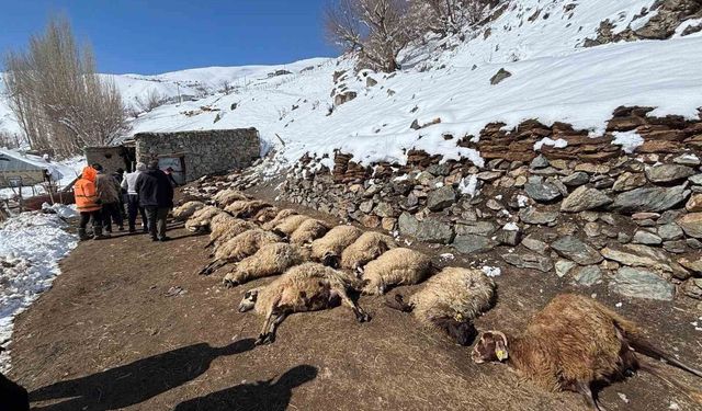 Van'da ahırda feci yangın: 67 küçükbaş hayvan telef oldu