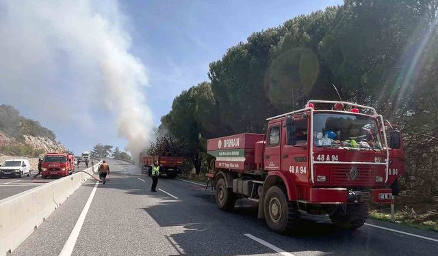 'Yangın önlemi için temizlik yapılıyor' haberinden bir saat sonra yangın çıktı