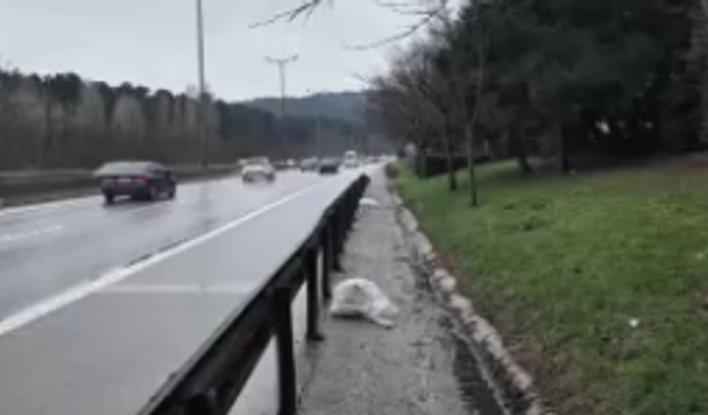 İstanbul'da yol kenarında ölü bebek bulundu