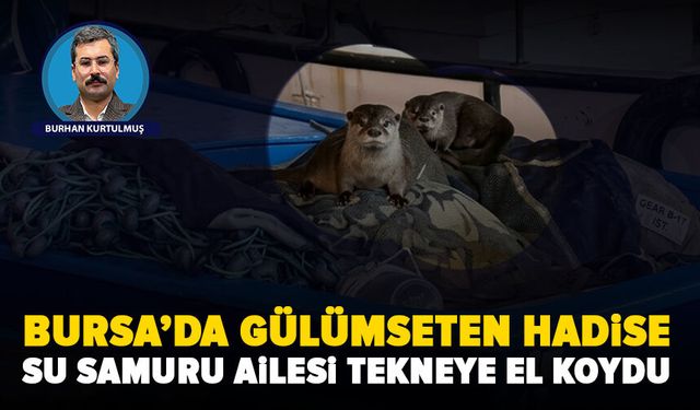 Bursa Gemlik’te sevimli ziyaretçiler: Aç kalan anne su samuru yavrularıyla tekneye sığındı
