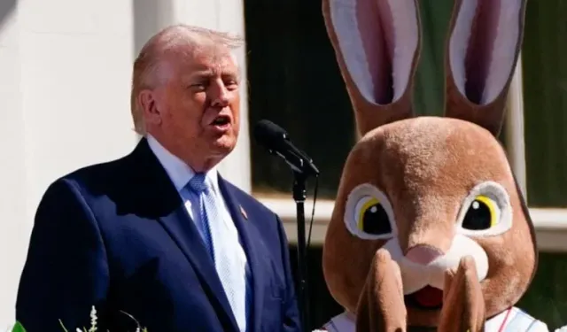 Trump: "Bana kalsa İran'ın petrolünü alırdım"