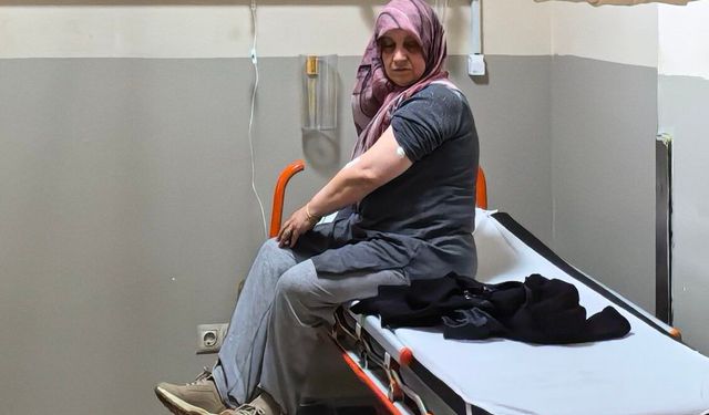 Bursa'da akrep sokan kadın hastanelik oldu