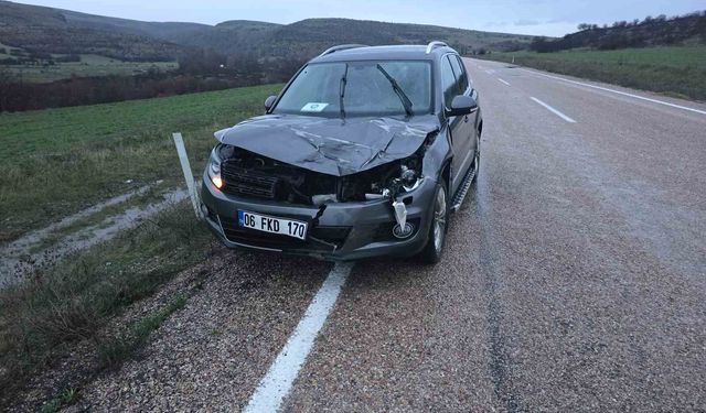 Ankara'da aracın çarptığı geyik telef oldu